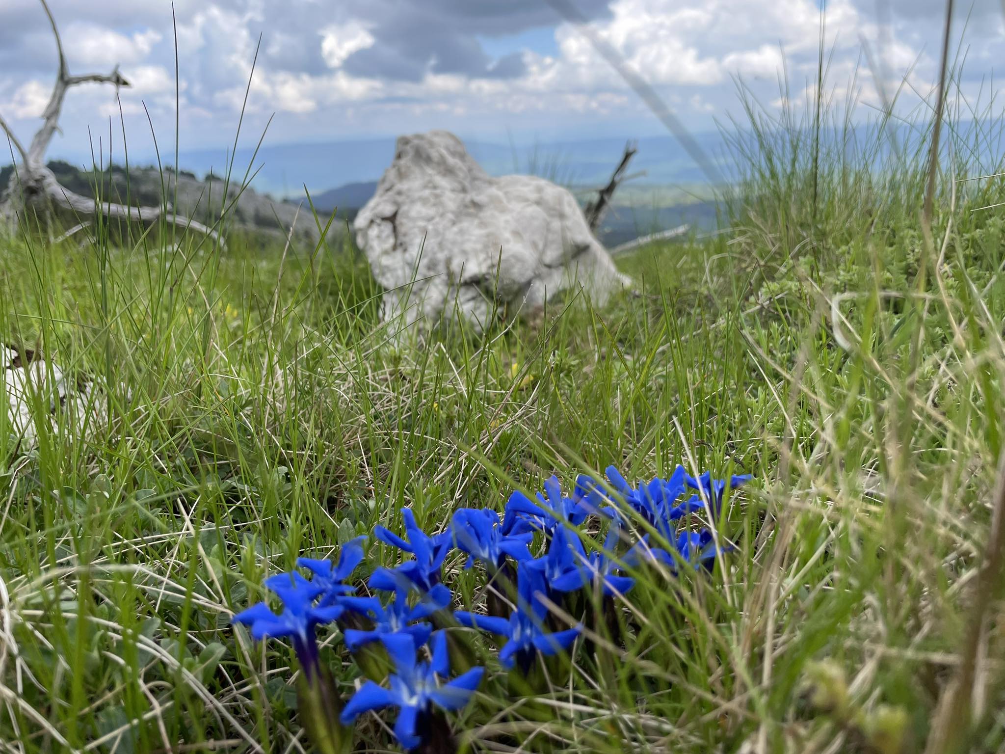 OBJAVLJENA DUGOROČNA PROGNOZA Kakvo nas vrijeme očekuje narednih dana?