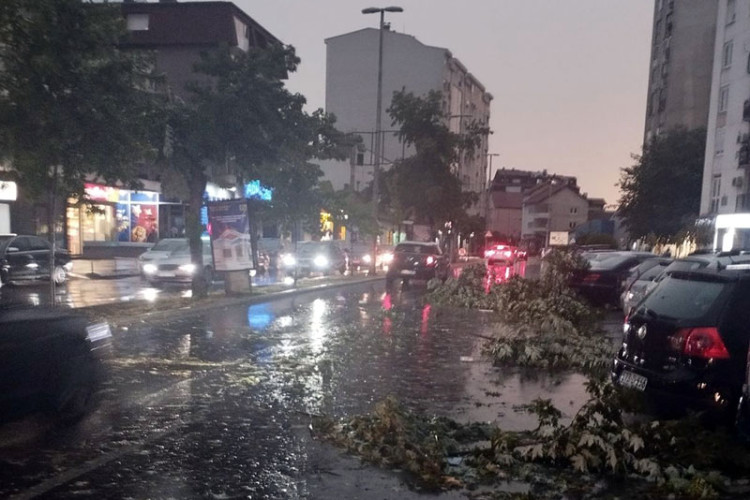 SPASIOCI IMALI PUNE RUKE ZBOG NEVREMENA ŠIROM SRBIJE: Djed i unuk izvučeni sa Save, 10 osoba spaseno iz šume