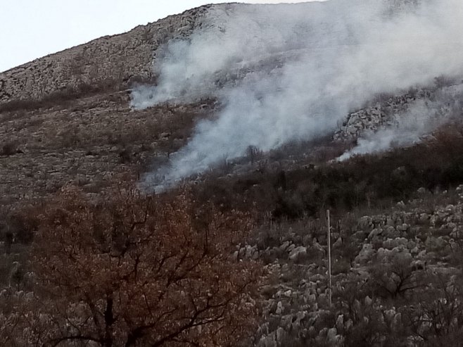 RAZLOG LJUDSKA NEPAŽNJA? Šumski požar kod Trebinja