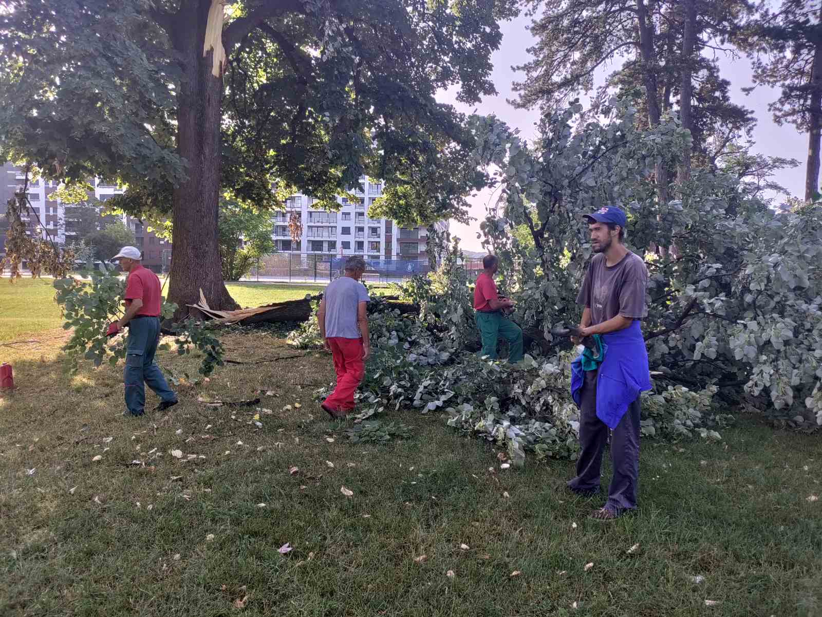 EKIPE NA TERENU Čiste ulice Banjaluke nakon snažnog nevremena (FOTO)
