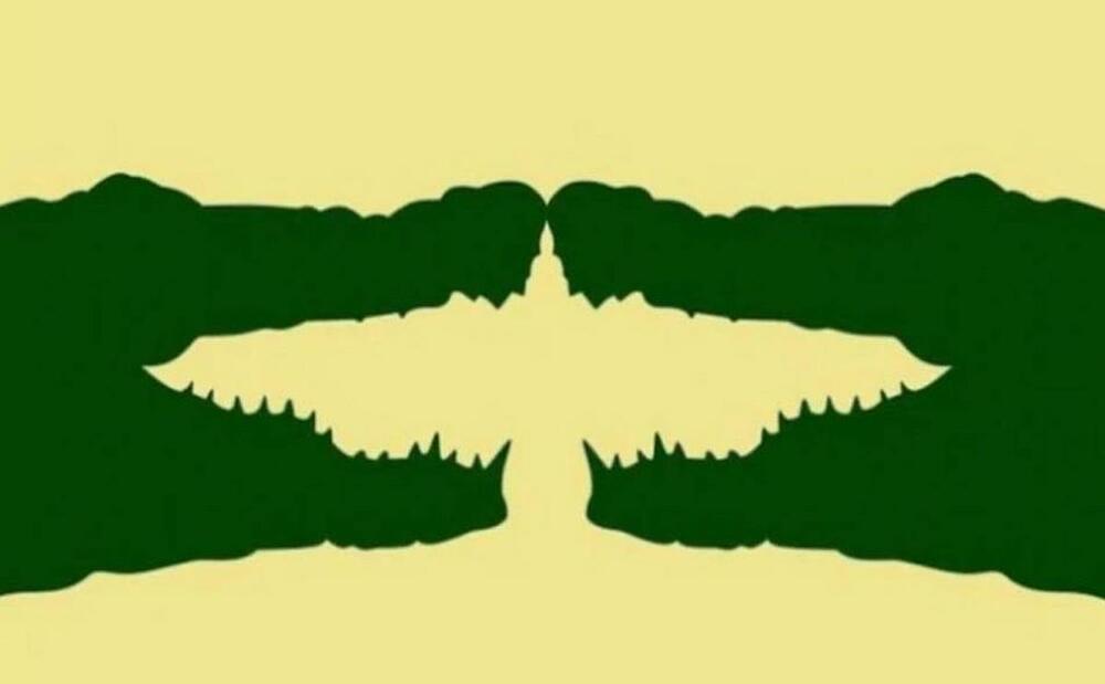 KROKODIL ILI PTICA? Brzi test ličnosti koji govori dosta o tome kakva je vaša životna uloga
