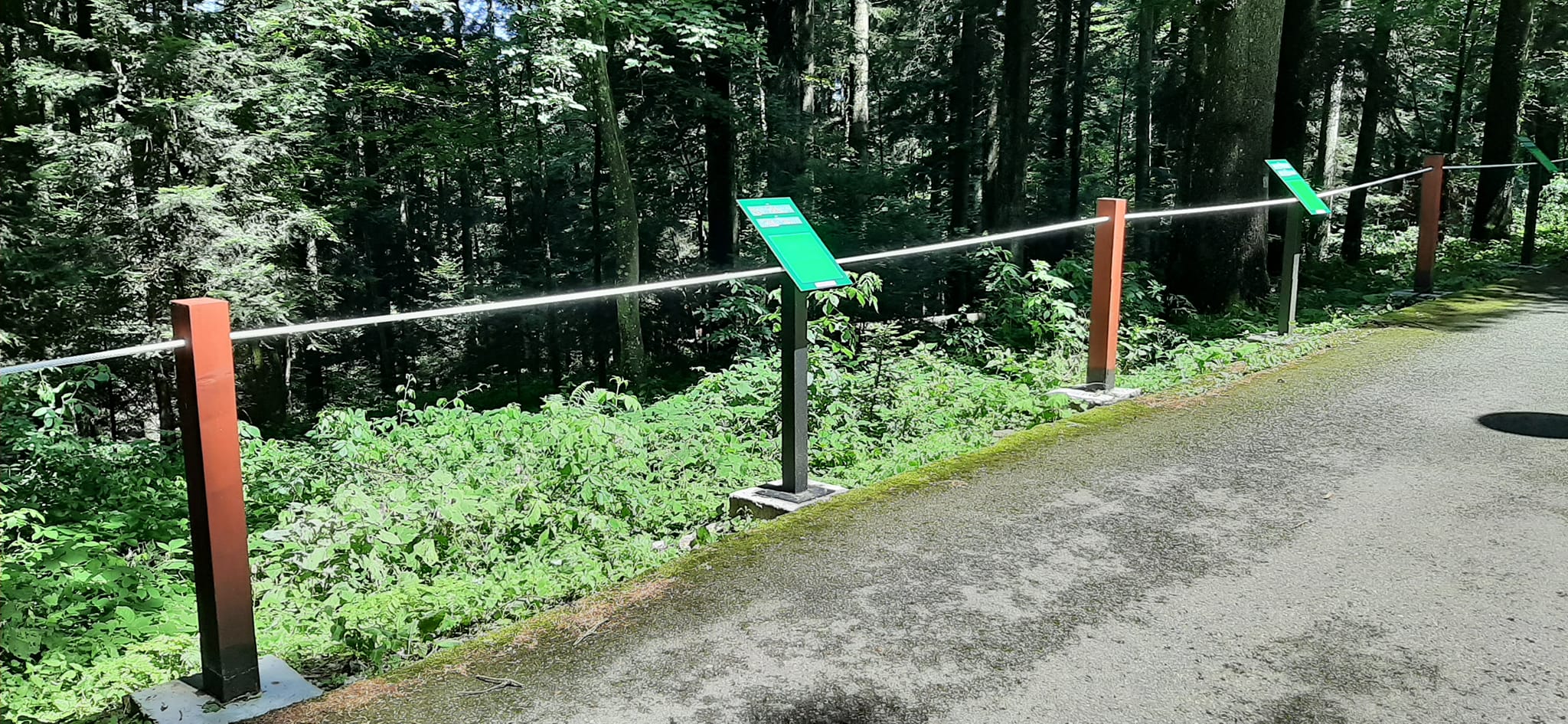 NACIONALNI PARK KOZARA DOBIO BRAJEVU STAZU Namijenjena slijepim i slabovidim osobama (FOTO)