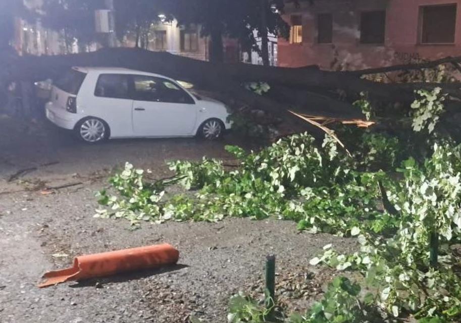 STANJE NA PUTEVIMA Vozači oprez: Polomljeno granje na kolovozima