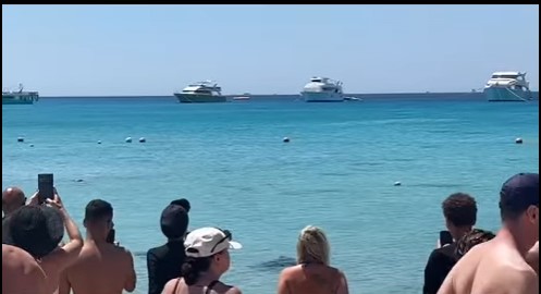 "KO SE NA MLIJEKO OPEČE I U JOGURT DUVA" Turisti napravili pometnju u Hurgadi: Mislili da pliva ajkula pa brzinom svjetlosti istrčali iz vode, a evo šta se zapravo dogodilo (VIDEO)