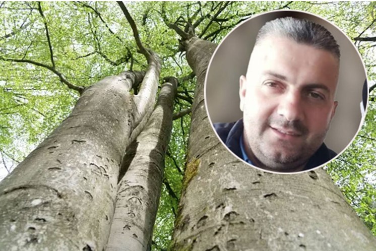 DETALJI POGIBIJE ŠUMARA: Bukva usmrtila oca dvoje djece, oglasio se neutješni sin