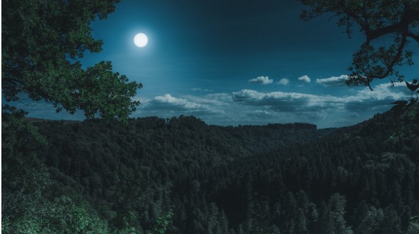 PRVI VEĆ VEČERAS U avgustu će noćno nebo dva puta obasjati astronomski fenomen