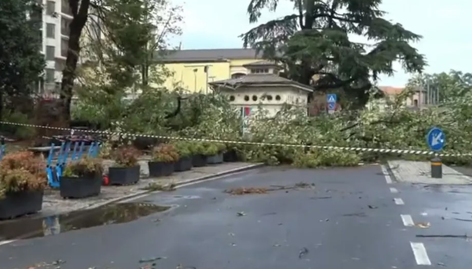 Nova žrtva nevremena - ženu ubilo drvo (VIDEO)