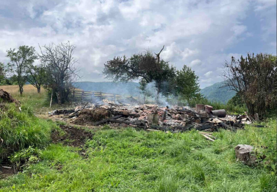 NEVRIJEME NAPRAVILO VELIKU ŠTETU KOD VLASENICE Od udara groma stradala krava i 11 ovaca (FOTO)