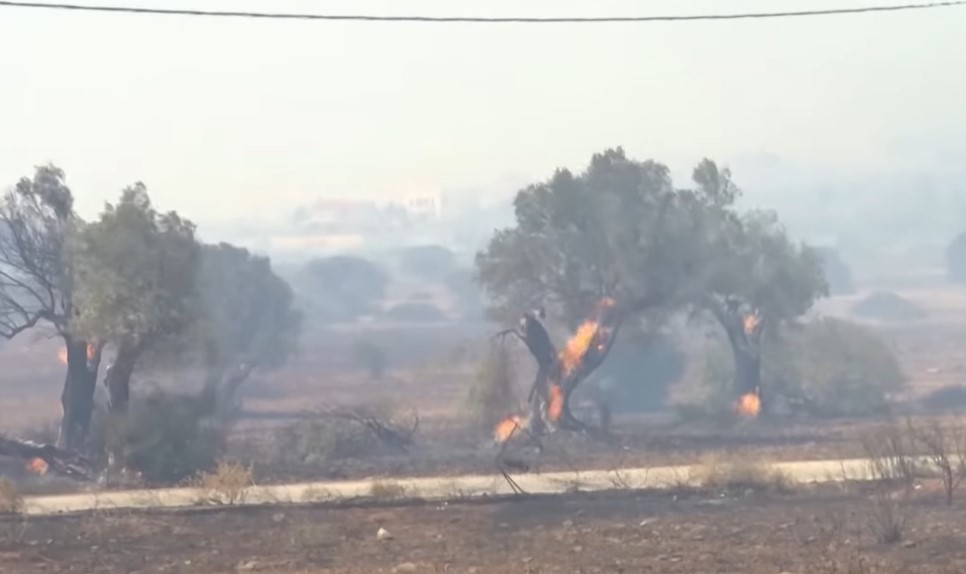 PRONAĐENO UGLJENISANO TIJELO PASTIRA Otišao da spase stoku, pa poginuo u plamenu!