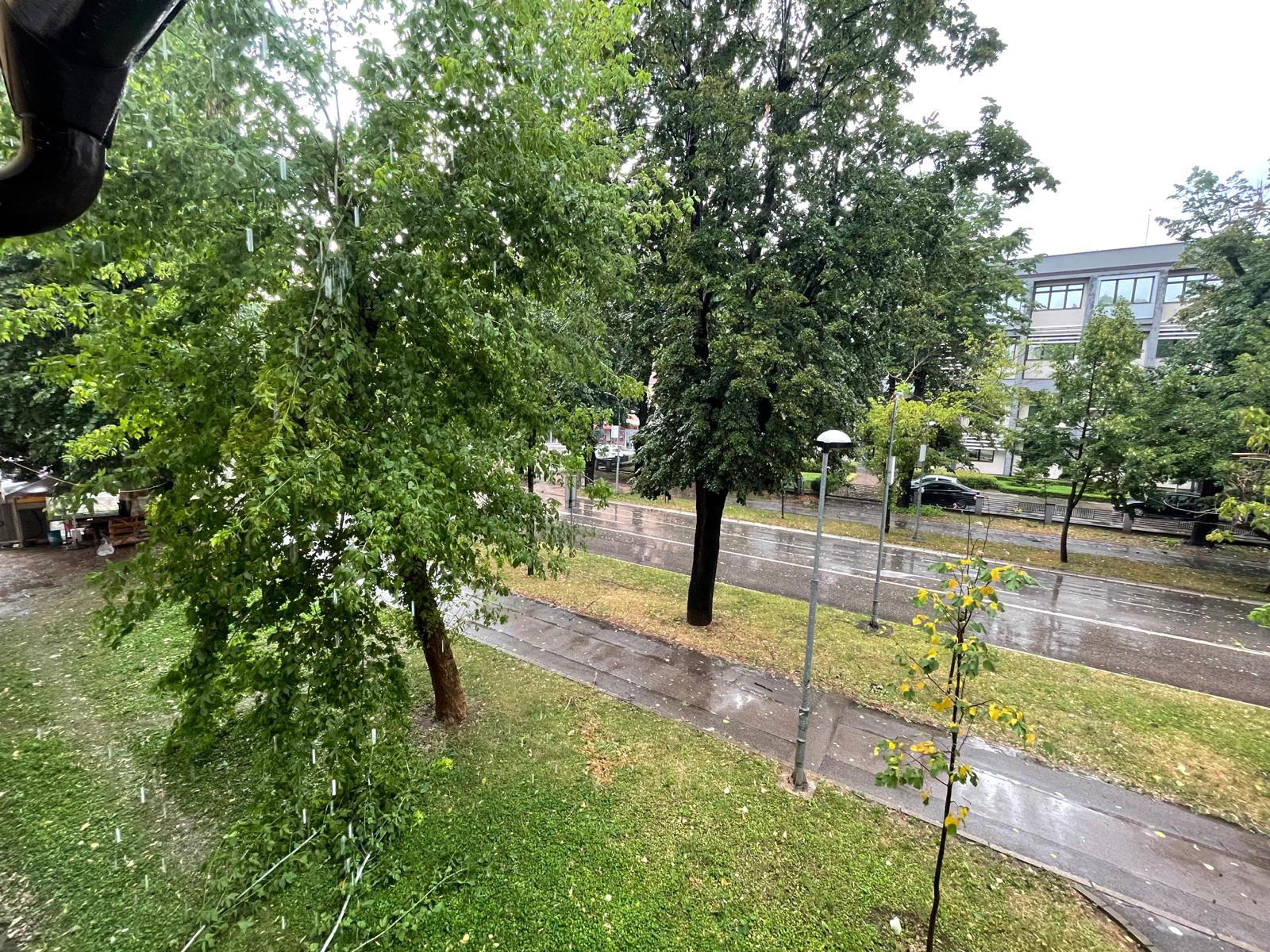VOZAČI, OPREZ Srušilo se drvo u banjalučkom naselju Borik