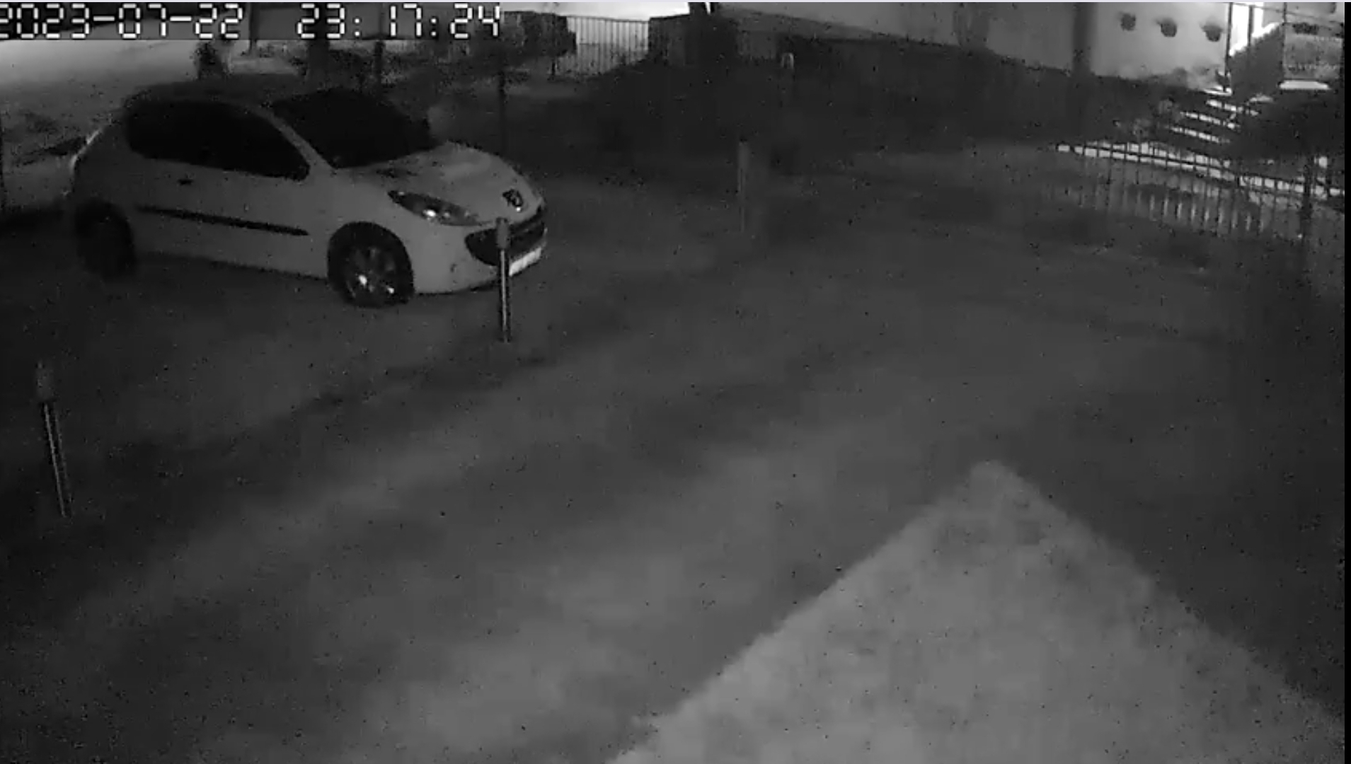 Medvjed na kapiji porodične kuće kod Bihaća, građani u strahu (VIDEO)