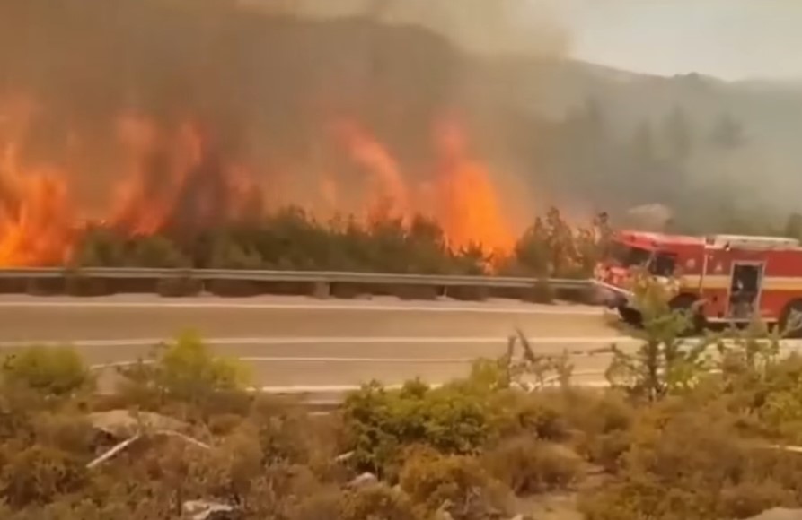Požari bjesne širom Mediterana, najteže u Alžiru: 34 osobe stradale