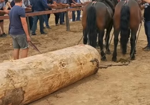 HAOS U RIBNIKU Potukli se na štraparijadi, pa prijetili policajcu