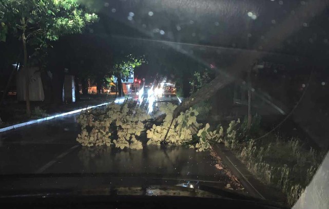 HAOS U BANJALUCI Snažno nevrijeme obaralo drveće i kidalo kablove (FOTO)