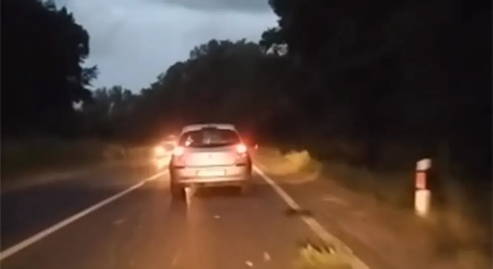 "KAKO JE MOGLO DA BUDE DOBRO SMO PROŠLI" Strašan snimak iz Srbije: Drvo palo na auto usred vožnje (VIDEO)