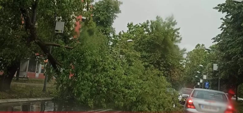 Olujni vjetar slomio drvo u banjalučkoj Aleji Svetog Save (VIDEO)
