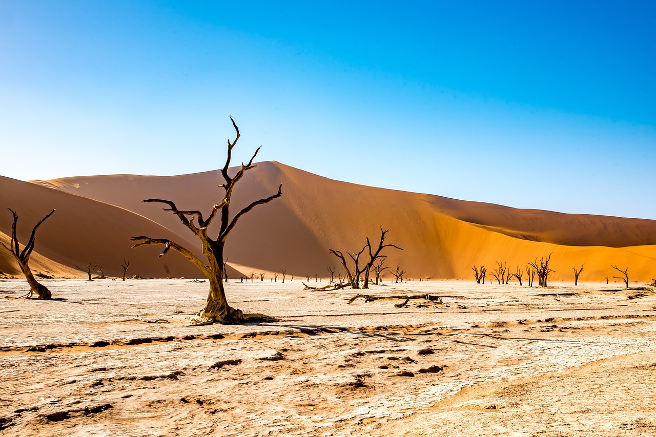 OPASNOST ZA PLANETU Prva nedjelja jula bila najtoplija do sada - upozorili klimatolozi