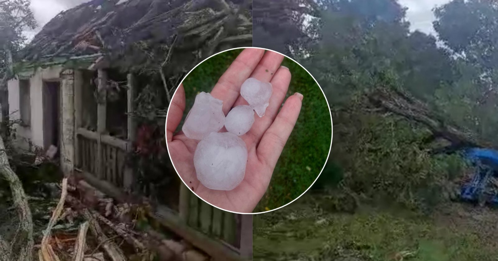 MJEŠTANI OPLAKIVALI STARI ORAH Nevrijeme protutnjalo Gradiškom i ostavilo krš i lom iza sebe (VIDEO)