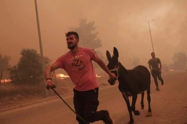"ZA MENE JE ON HEROJ SVAKOG DANA" Evo ko je hrabri Grk koji je spasavao životinje iz vatrene stihije (FOTO)