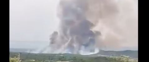 GORI TRAVNATO PODRUČJE Požar na Halkidikiju (VIDEO)