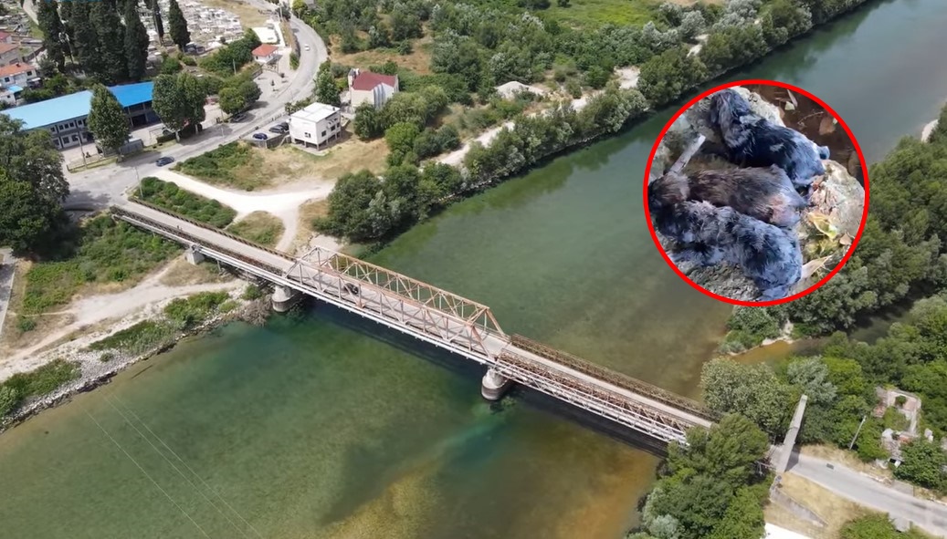 IZBOR ČINI LJUDE Čovjek bacio vreću s psićima u Neretvu, dječak skočio u rijeku da ih spasi (VIDEO)
