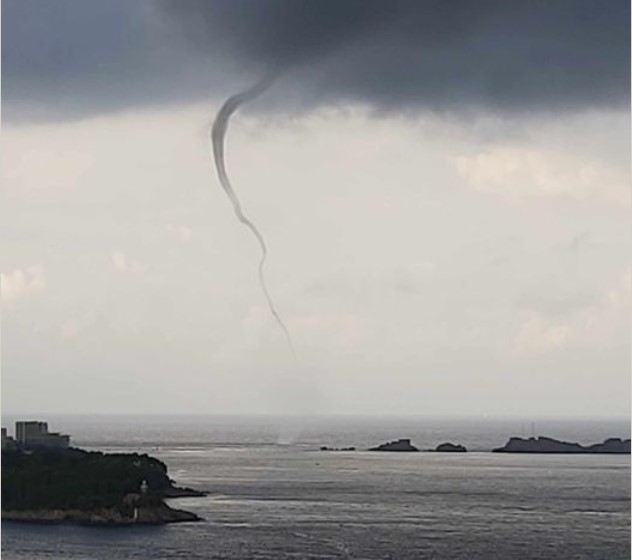 Pijavica na moru kod Dubrovnika