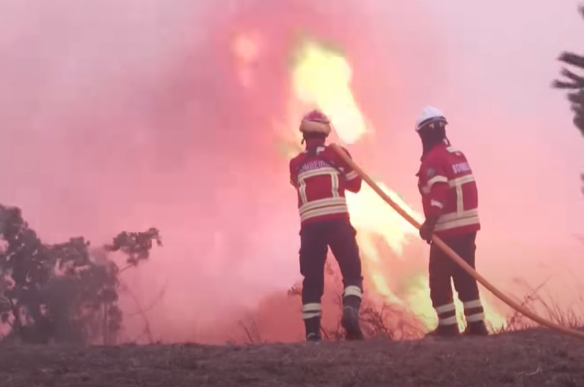 Visoke temperature i vjetar otežavaju gašenje šumskih požara