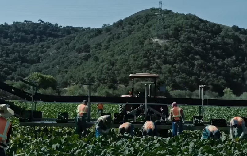 "Poisoned" ogadio život ljudima: Novi Netflixov film o prehrambenoj industriji pokrenuo lavinu komentara