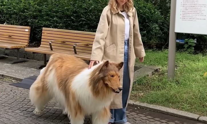 Japanac dao milione da postane pas i ispuni želju iz djetinjstva (VIDEO)