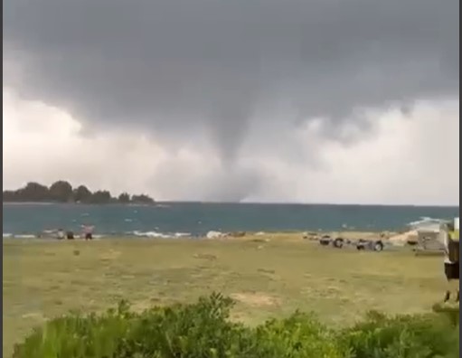 JEZIVO! Čitalac nam je poslao snimak pijavice na moru kod Rovinja (VIDEO)