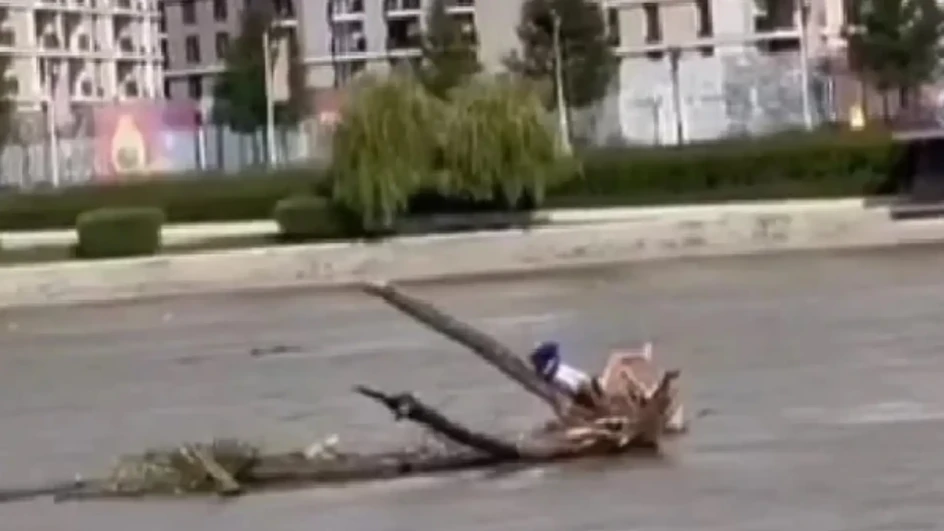 “Ovo može samo kod nas”: Muškarac u Beogradu pronašao novi način da se sunča