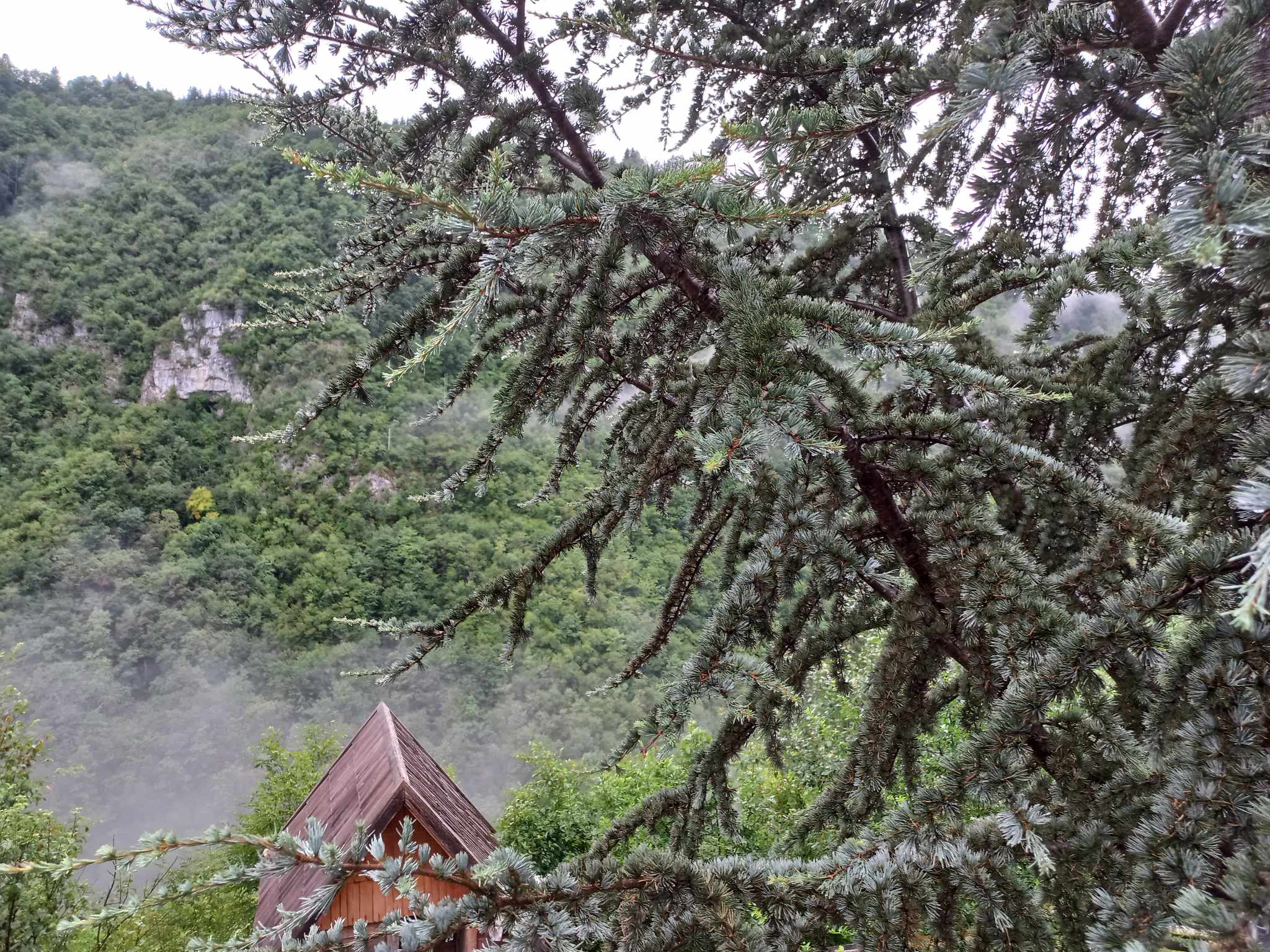 PROGNOZA ZA SRIJEDU, 26. JUN Pogledajte kakvo nas vrijeme očekuje danas
