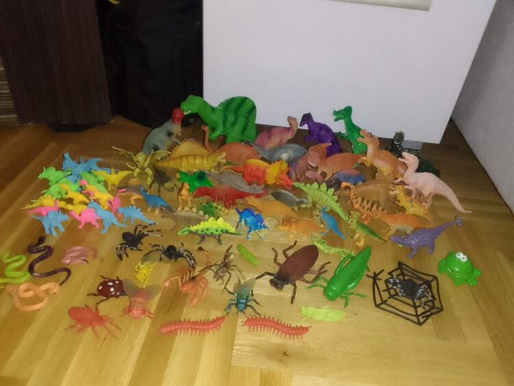 DJEČAK RASPLAKAO REGION Prodaje kolekciju dinosaurusa kako bi pomogao mami Jeleni u liječenju