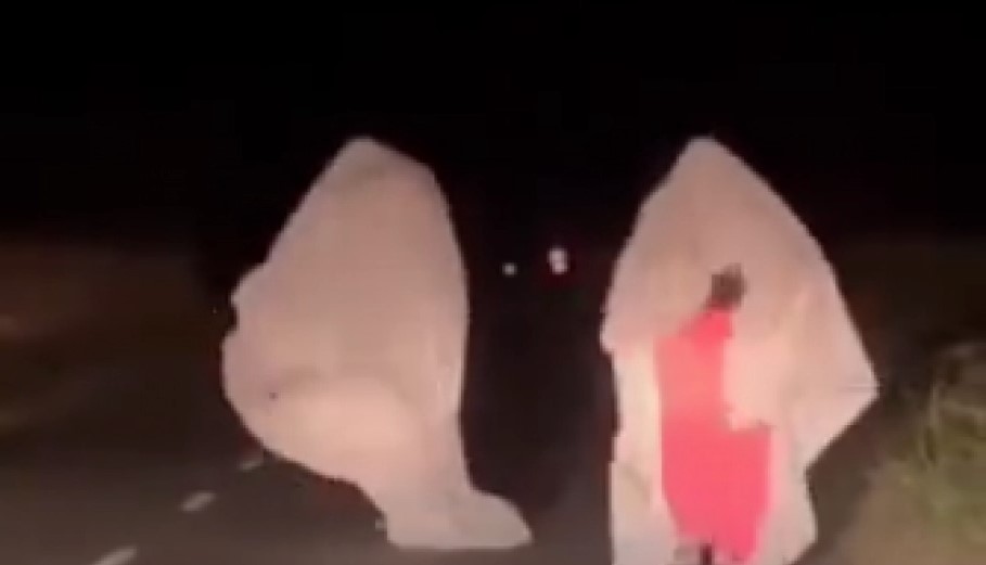JEZIVA IGRA TINEJDŽERA KOJA VODI U SMRT Novi trend na društvenim mrežama širi paniku među vozačima (VIDEO)