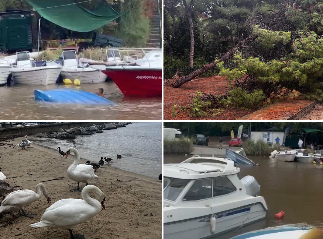 "PONESTAJE NAM PITKE VODE" Turista iz BiH zarobljen u Grčkoj: Mobilni signal u prekidu (FOTO)