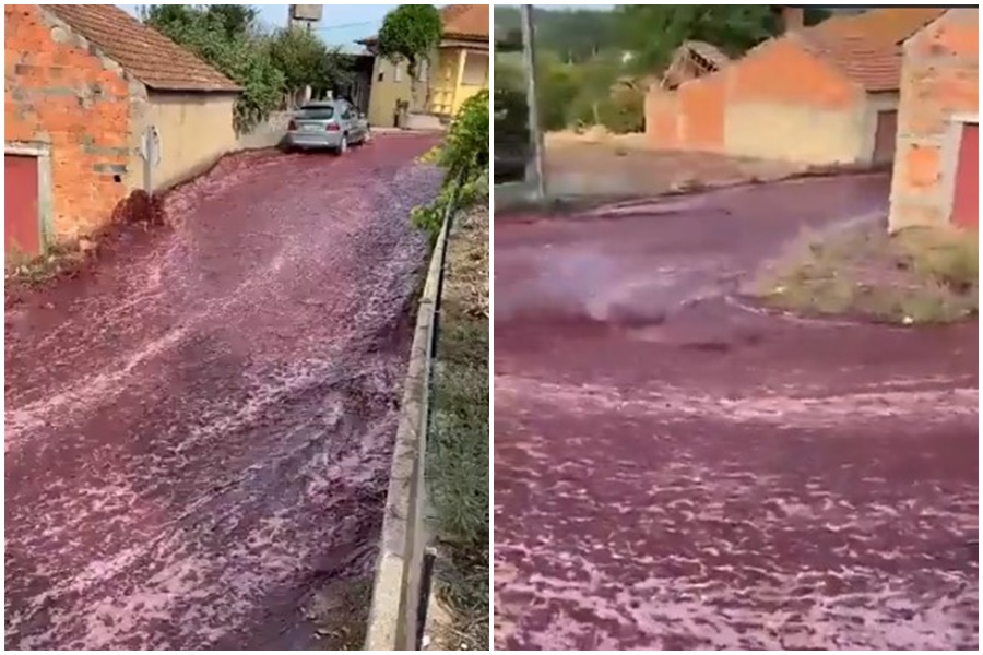 KAKVA ŠTETA! RIJEKA VINA SLIVA SE ULICOM! Vinarima se slučajno prosulo 2,2 miliona litara (VIDEO)