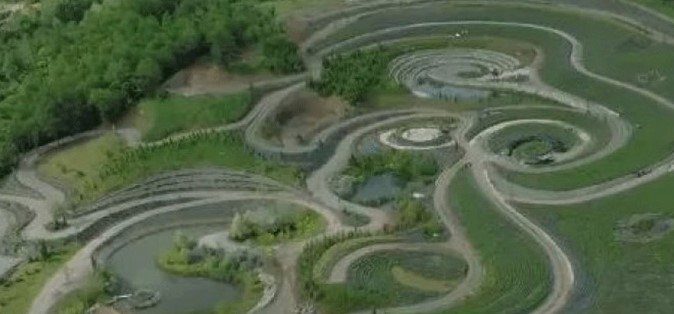 PRIZOR OSTAVLJA BEZ TEKSTA Pogledajte park u BiH, repliku Van Gogove slike (VIDEO)
