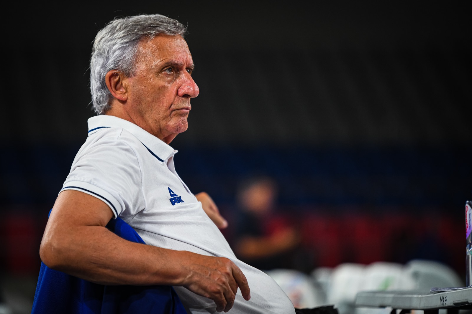 POČINJU KVALIFIKACIJE ZA EP Pešić objavio spisak košarkaša Srbije
