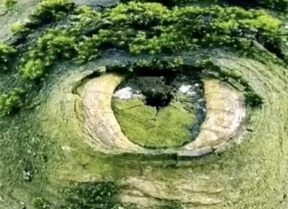 TEST LIČNOSTI OTKRIVA KOLIKO VAM JE STALO DO MIŠLJENJA DRUGIH Šta ste prvo videli na slici - oko ili travnati jarak?