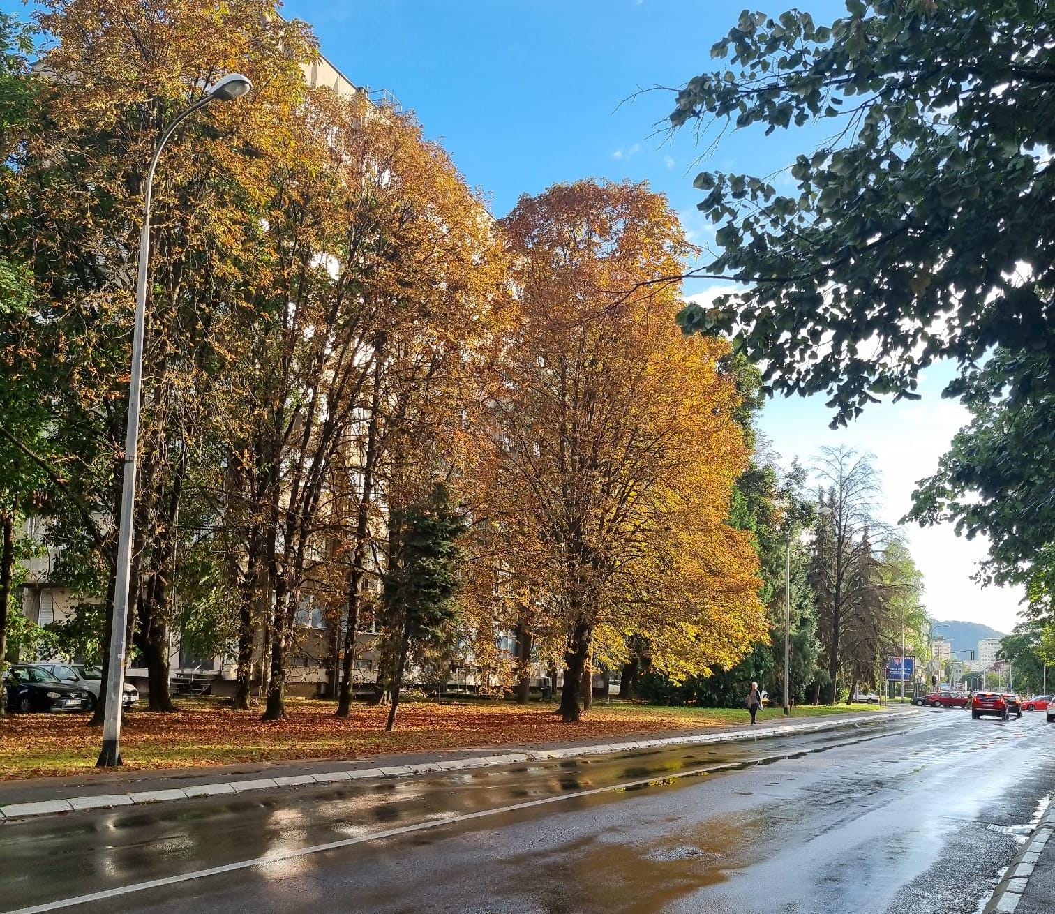 VREMENSKA PROGNOZA ZA 19. NOVEMBAR Danas toplije i sunčanije