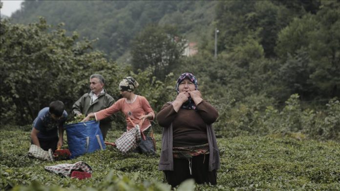 U ovom selu ljudi se sporazumijevaju zviždanjem, a njihov ”ptičji jezik” priznao je čak i UNESCO (VIDEO)