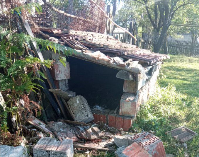 DOŠAO NA KUĆNI PRAG Medvjed opustošio kokošinjac u Kneževu (FOTO)