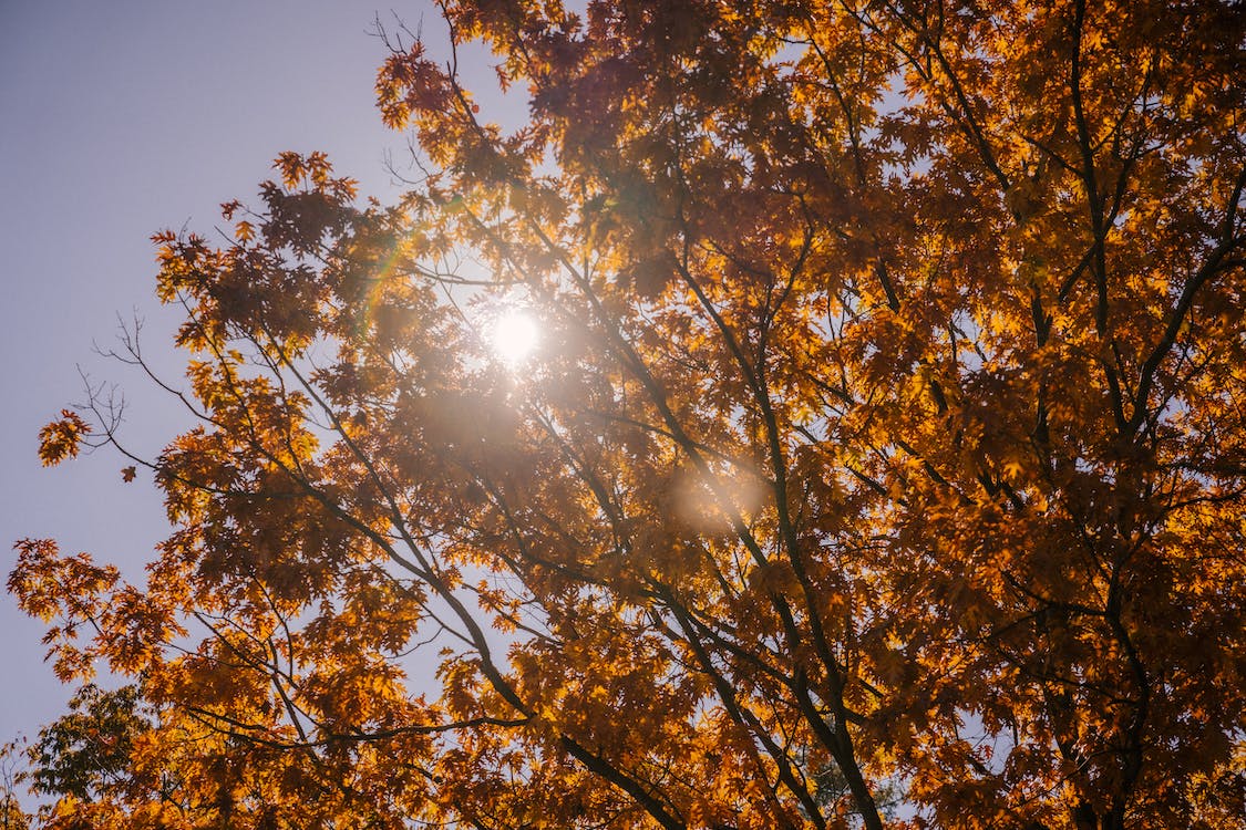 Septembar oborio temperaturni rekord u više evropskih zemalja