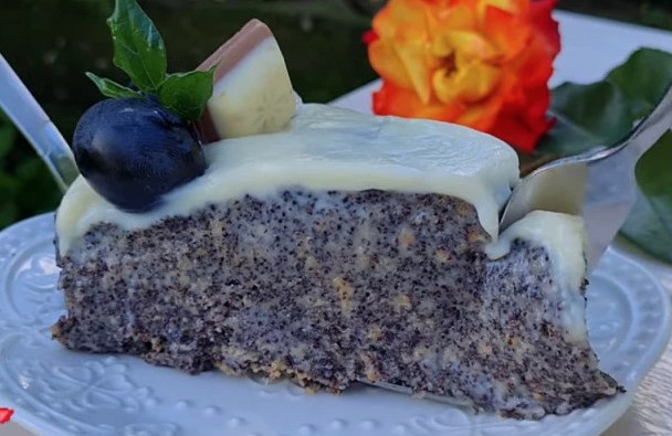 PLAZMA MAK TORTA Stvorena za dane kada nemate puno vremena