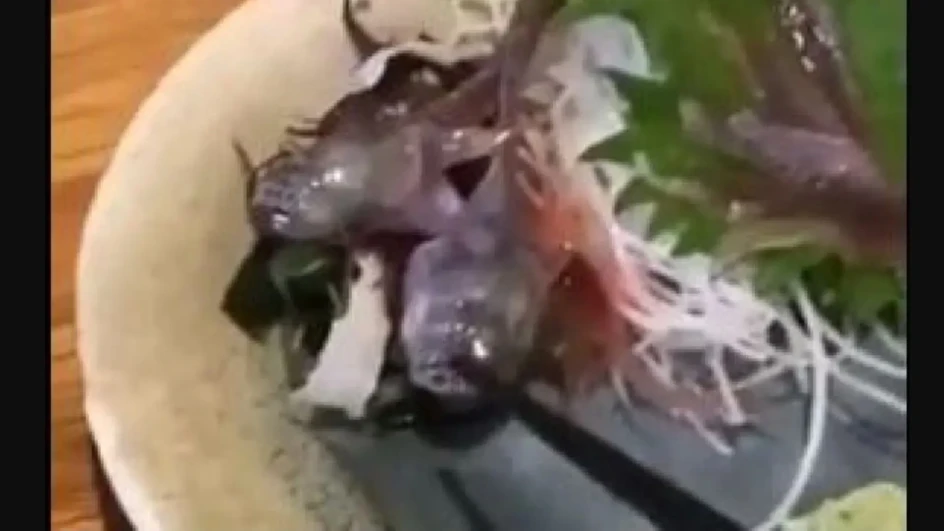Naručio ribu u restoranu, a kada su mu je donijeli - nije mogao da vjeruje šta vidi (VIDEO)