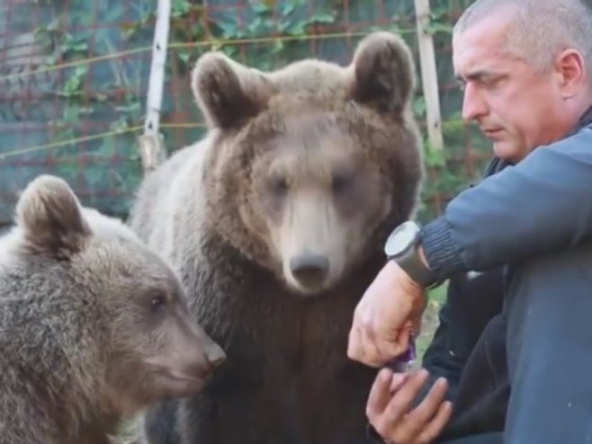 Medvjedice Maša i Ljubica prava atrakcija na Ozrenu: Obožavaju bombone i picu, a dane provedu spavajući (VIDEO)