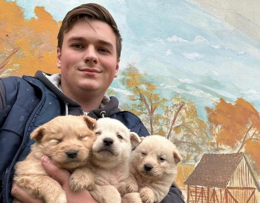 KAKO JE NIKOLA OPTUŽEN DA JE PREVARANT? Spasao 500 napuštenih životinja, ali ga jedna greška skupo koštala (FOTO)