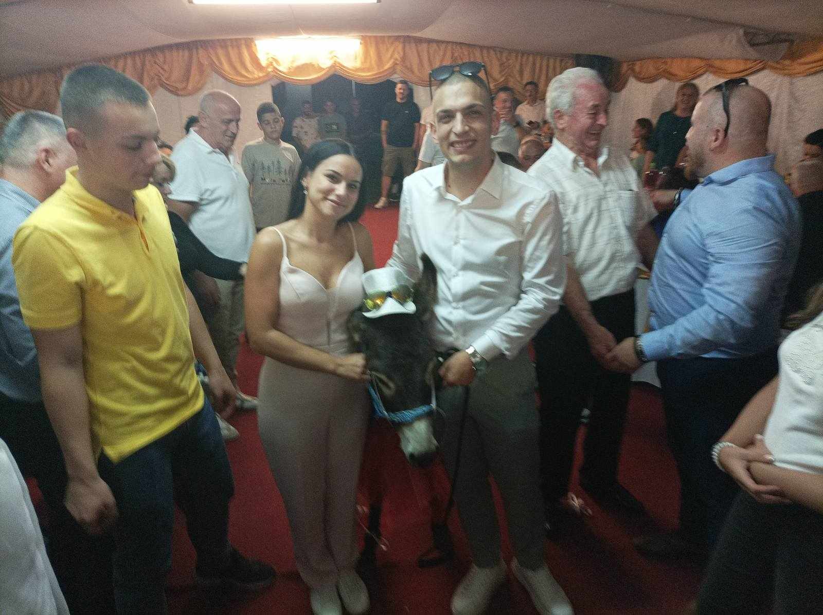 A OD DJEVERA - MAGARAC! Šok svadba kod Prnjavora - mladenci dobili poklon o kojem će se dugo pričati (FOTO/VIDEO)
