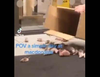MIŠEVI SE RAZBJEŽALI PO RESTORANU BRZE HRANE Muškarac ušetao u McDonald‘s, pa gostima priredio scenu kao iz horora (VIDEO)