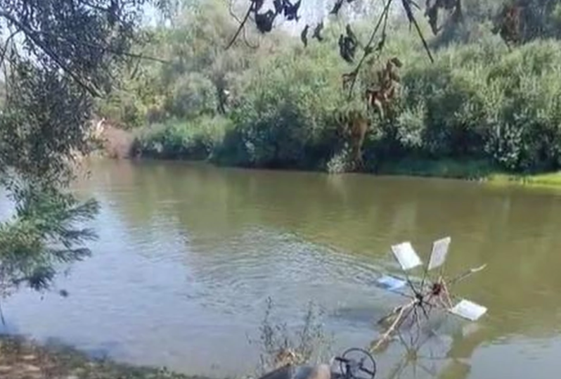 NEBESKI NAROD Srbin postao hit na društvenim mrežama zbog patenta, dok se prase peče on uživa u hladu (VIDEO)